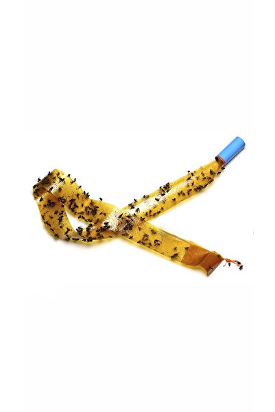 chasten emporium Sinek ilacı 2’li Sinek Yapışkanı / Asılabilir Sinek - Böcek ...