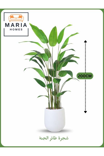 MARIA HOMES Artificial Bird of Paradise Tree 200 cm – Indoor Decorative Plant with White Pot