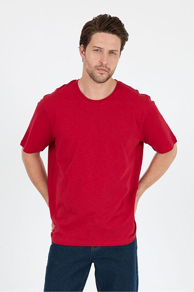 Rodi Men's Cotton Crew Neck Short Sleeve Solid T-Shirt Comfortable and Stylish Casual Men's T-Shirt 0169