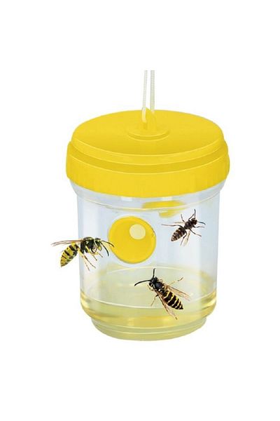 OEM Set 5 capcane pentru insecte, 9x13 cm
