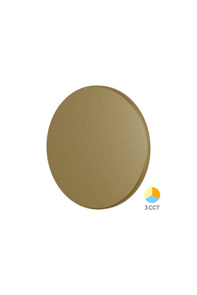 Braytron CORP LED PALERMO 12W-3in1 IP65- D220mm AURIU