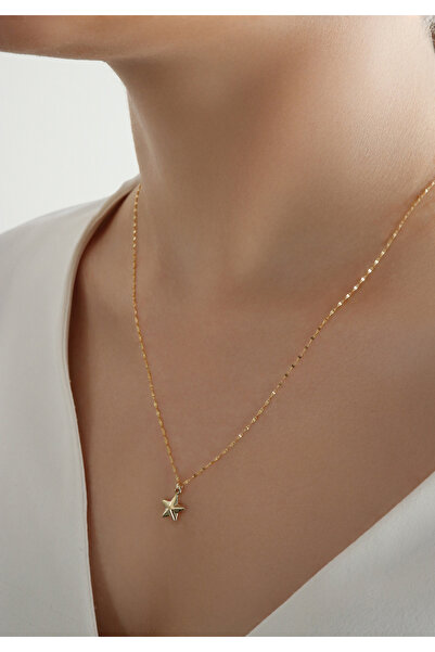 DİAMİNE PIRLANTA 14 Ayar Altın Aynalı Zincir 3 Boyutlu Yıldız Kolye