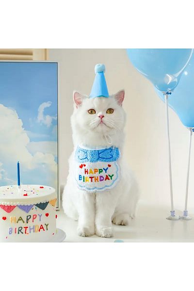 Lady Fify Birthday Celebration Costume with Hat and Apron for Cat and Dog