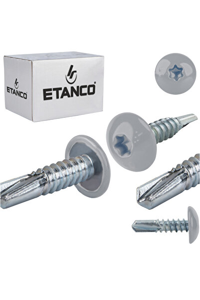 Inna marka Șuruburi autofiletante GT5 PH 5,5x19mm RAL 9006