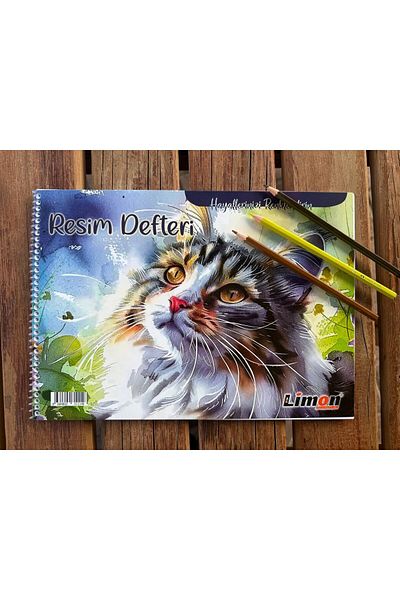 LİMON DEFTER Caiet de lămâie Copertă din carton spiralat 25 de coli Dimensiune medie (25x35) Caiet de imagini