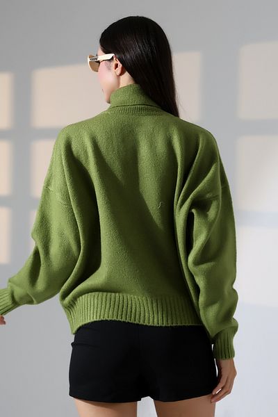 ALCHON Turtleneck Long Sleeve Single Color Soft Textured Basic Plain Winter Knitwear Sweater
