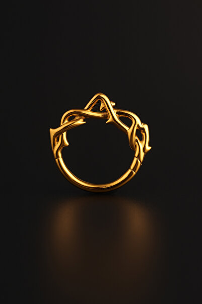 depozoom 316l Cerrahi Çelik Çalı Kilitli Halka Piercing