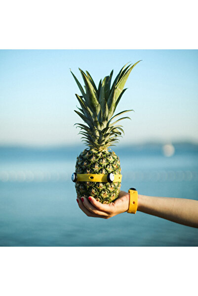 Toyi Educational and interactive STEM toy, 6 years +, 80 building pieces, creative kit