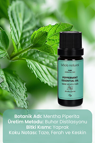 Bade Natural Nane Uçucu Yağı %100 Saf 10 ml