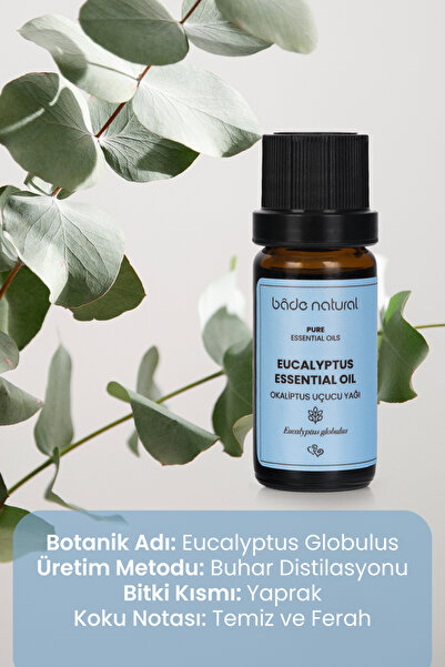 Bade Natural Okaliptus Uçucu Yağı %100 Saf 10 ml