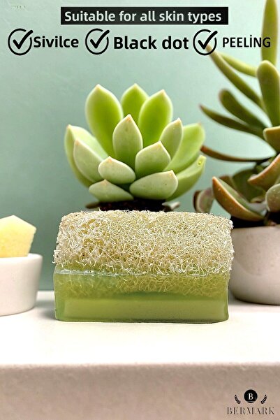 bermark صابون الألوة فيرا مصنوع يدويًا من ألياف اليقطين الطبيعية مع الجلسرين النباتي، قطعتين، صابون حمام نباتي