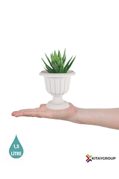KıtayGroup Nergiz Dekoratif Salon Masa Saksı Mini Kaktüs Saksı 1,5 Litre Kırı...