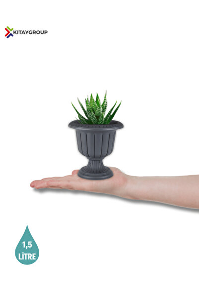 KıtayGroup Nergiz Dekoratif Salon Masa Saksı Mini Kaktüs Saksı 1,5 Litre KOYU...