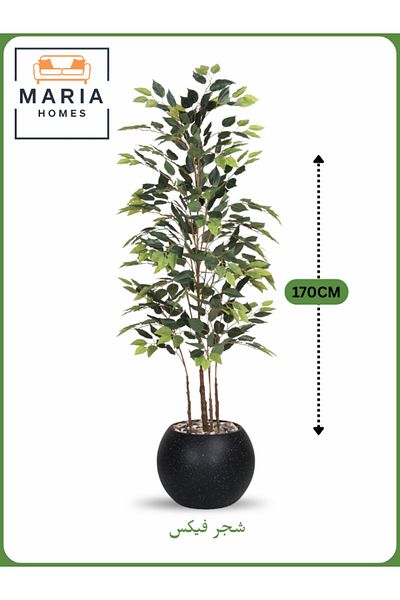 MARIA HOMES Artificial Ficus Tree 170 cm – Indoor Decorative Plant with Black Pot