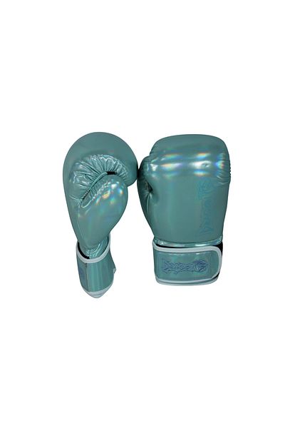 Dragondo Dragon Glossy Boxing Gloves Kickboxing Muaythai Sparring Training Dragon Boxing Gloves