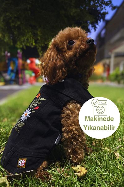 salya store Black Dog Denim Vest, Jean Dog Suit New Season