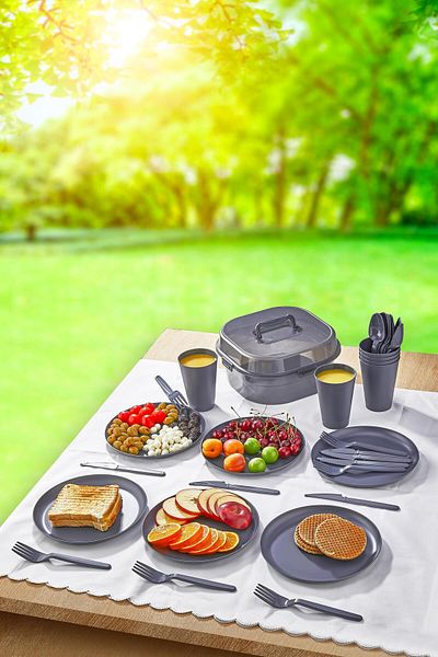 HOMENIVA 6-Person 32-Piece Picnic Set with Bag - Transparent-Platinum