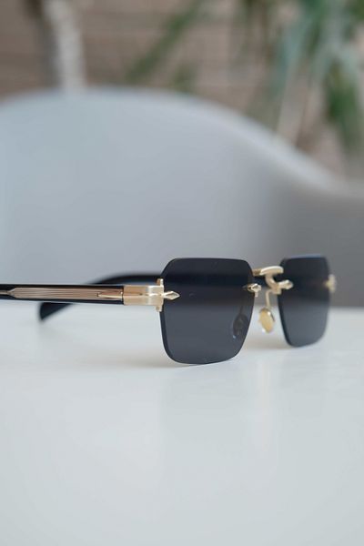 WATCHOFROYAL Royal Eyewear Re7116 Gold Black Sunglasses