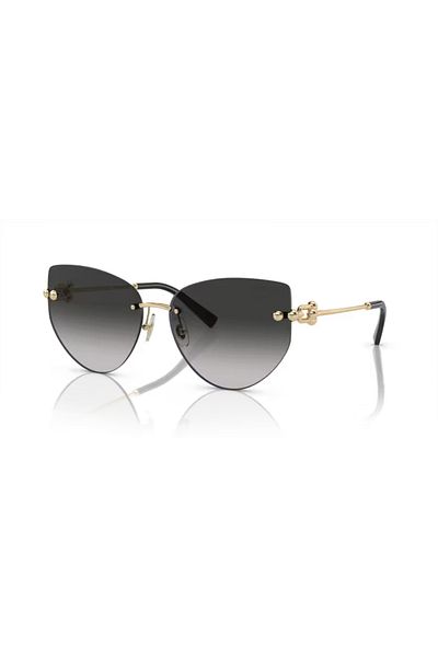 Tiffany Tiffany & Co. Tf 3096 60213C 60 Women's Sunglasses