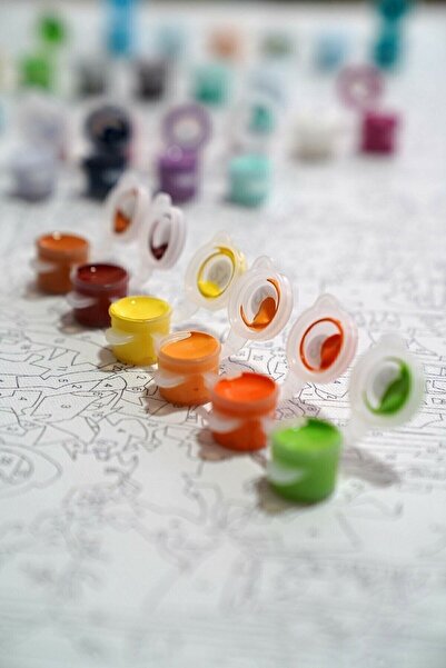 Palmiye Hobi Sanat Kırtasiye Sayılarla Boyama 40x50 Cm Tuval Seti Fırça Boya Dahil Çıtaya Gerili - Minnie & Mickey Mouse