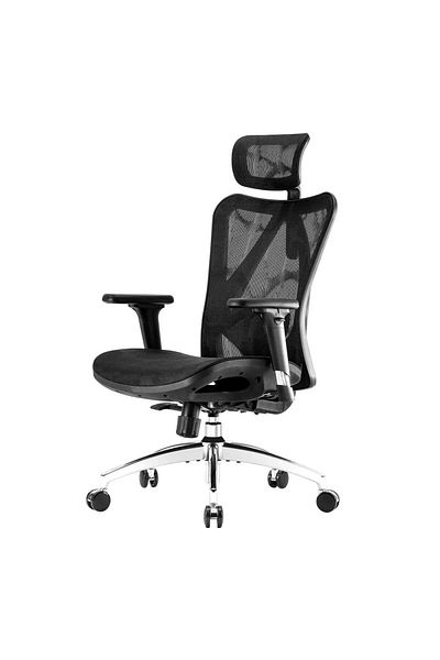 Woodies M57-N110BK Ergonomic Mesh Office Chair with Adjustable Headrest and Armrest, Black