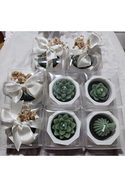 ddecco Nikah nişan söz hediyelik 10 ad. Kaktüs mum kutuda süslenmiş