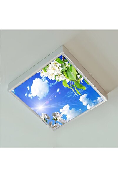 Gökyüzü Panel 60x60 Ledli-trendyol Avize-bulutlu Çiçekler Tavan Avize-54watt-...
