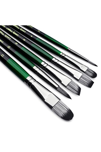 Choice20 مجموعة فرش رسم فنية من 6 قطع من جرين ميكس، فرش رسم فنية أكريليك والز...