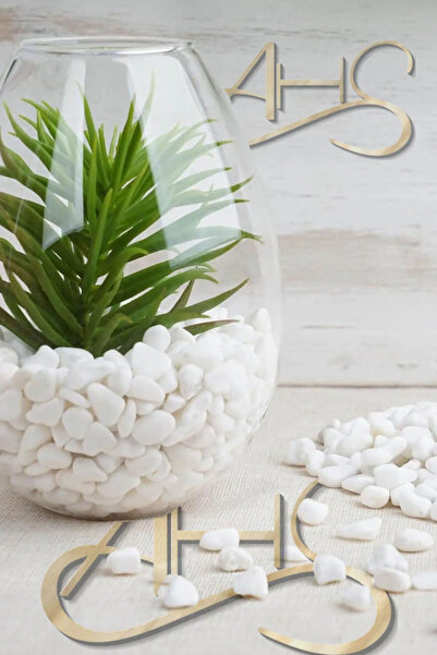 AHS Beyaz Dolomit Taş 2 Kg 1-2 Cm Dere Çakıl Taşı Bahçe Peyzaj Süs Taşı Saksı...