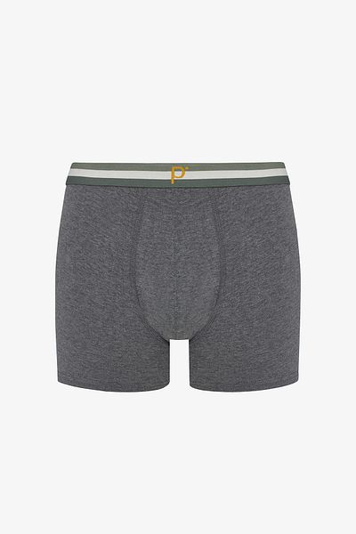 Penti Basic Gray Multicolored 3-Piece Boxer Briefs