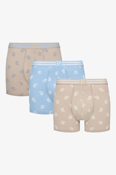 Penti Pointed 3-Piece Multicolored Boxer Briefs
