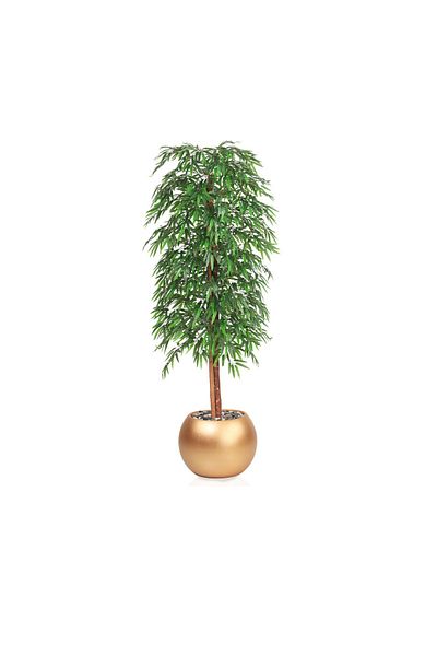 DEC31 Bamboo tree golden plastic basin