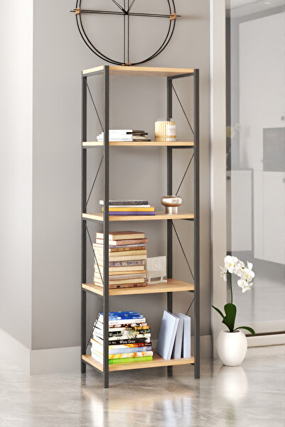 DizaynMotion Metal İskelet Çok Amaçlı Raflı Dolap Ofis Dolabı Atlantik Çam