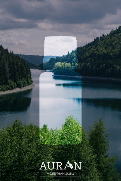 AURAN Bolluk Bereket Esansiyel Uçucu Koku Yağı Ortam Kokusu Doğal Yağ Sihirli Küre Hobi Esansı 10ml