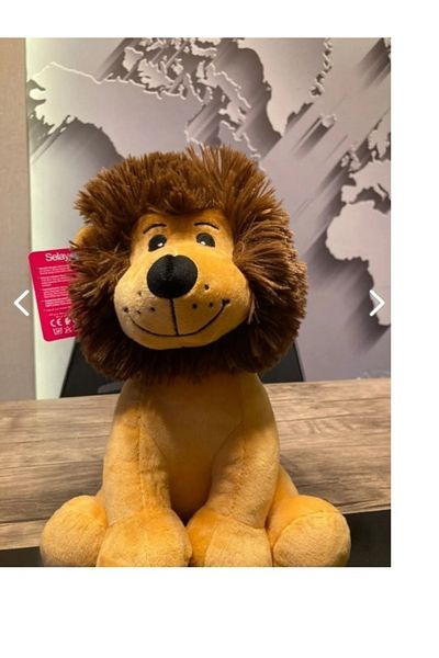 SELAY TOYS Cute Plush Lion 25cm