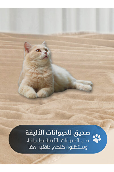 Master Home Textile Lightweight Velvet Blanket, 350GSM, 230x170cm Single Size, Soft All Season Flannel for Bed & Sofa