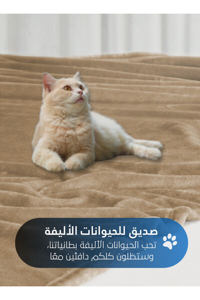 Master Home Textile Lightweight Velvet Blanket, 350GSM, 230x170cm Single Size, Soft All Season Flannel for Bed & Sofa