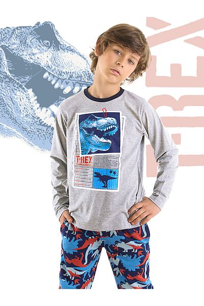 MSHB&G T-rex Info Boy's T-shirt Trousers Set