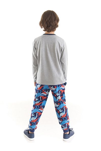 MSHB&G T-rex Info Boy's T-shirt Trousers Set