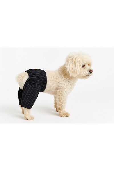 MPZ Pets Cat and Dog Outfit & Dress - Black and White Striped Pants