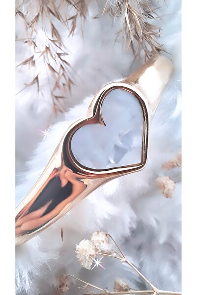 Serenity القلب أحسب المينا سوار الصلب السميك