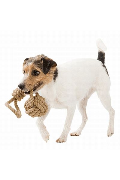 Trixie 8-30 Cm Rope Dog Toy - Bring and Pull