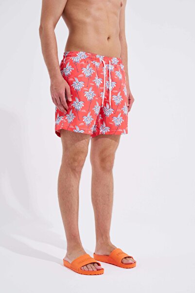 Machinist Men's Red Palms Printed Swim Shorts
