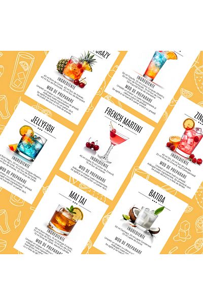 Legendary Gifts Cartonase cu 170 de retete ilustrate si detaliate cu cocktailuri
