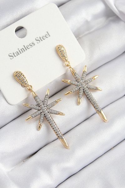 Avantaj Kapıda ®   316L Steel Zircon Stone Compass Star Model Gold and Silver Color Women's Earrings
