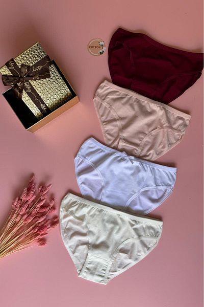 Elosia Cotton |   4-Piece White, Ecru, Claret Red and Salmon Color Women's Panties (Box Accessory)