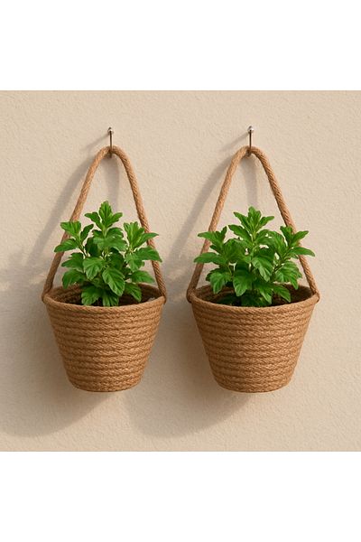 ÖRGÜM Basket Decorative 2Pcs Mini Wall Basket Plants Not Included