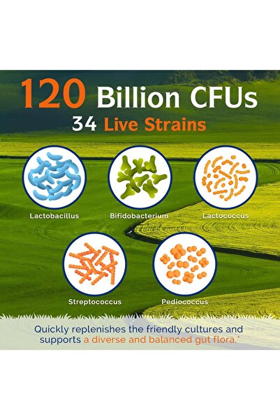 Innate Vitality Probiotics 120B CFU, 34 Strains, Prebiotics & Digestive Enzymes - 30 Vegan