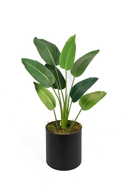 Çinpa Starliçe Real Touch 120x8 Lvs 0106109