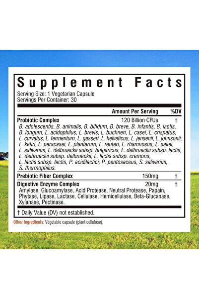 Innate Vitality Probiotics 120B CFU, 34 Strains, Prebiotics & Digestive Enzymes - 30 Vegan